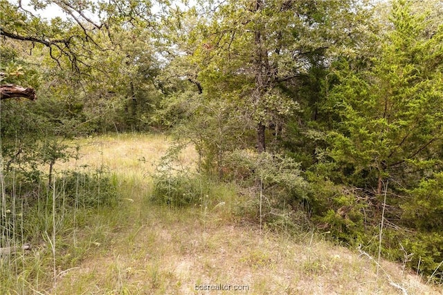 10.5ACRESTBD County Road 331, Milano, TX 76556 - photo 11