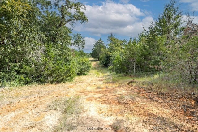 10.5ACRESTBD County Road 331, Milano, TX 76556 - photo 3