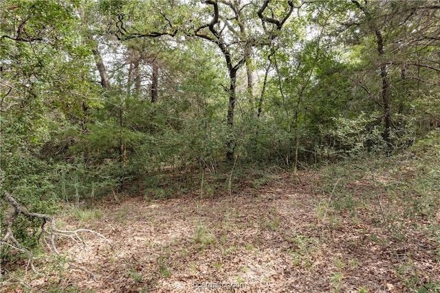 10.5ACRESTBD County Road 331, Milano, TX 76556 - photo 9
