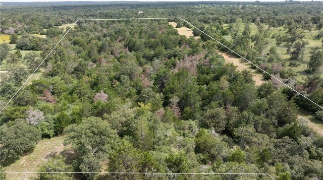 10.5ACRESTBD County Road 331, Milano, TX 76556 - photo 22
