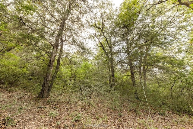 10.5ACRESTBD County Road 331, Milano, TX 76556 - photo 12