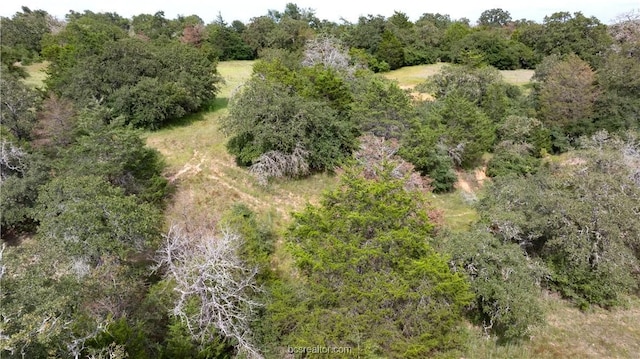 10.5ACRESTBD County Road 331, Milano, TX 76556 - photo 15