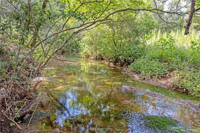 10.5ACRESTBD County Road 331, Milano, TX 76556 - photo 5