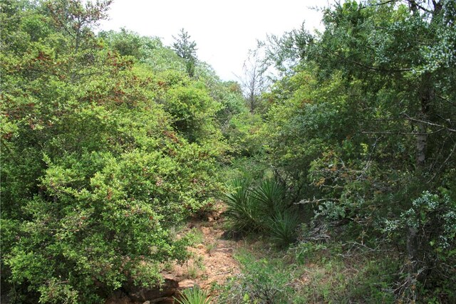 10.5ACRESTBD County Road 331, Milano, TX 76556 - photo 8