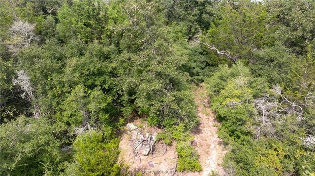 10.5ACRESTBD County Road 331, Milano, TX 76556 - photo 19