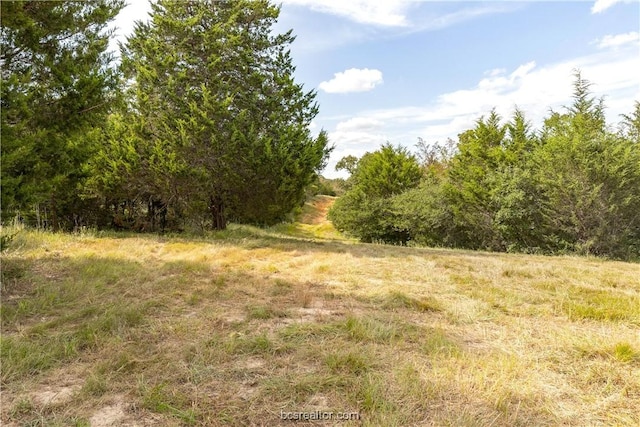 10.5ACRESTBD County Road 331, Milano, TX 76556 - photo 14