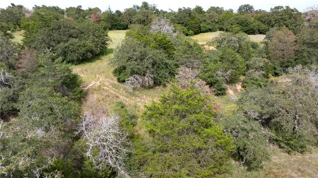 10.5ACRESTBD County Road 331, Milano, TX 76556 - photo 18