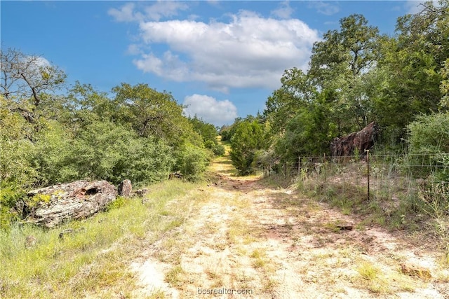 10.5ACRESTBD County Road 331, Milano, TX 76556 - photo 2