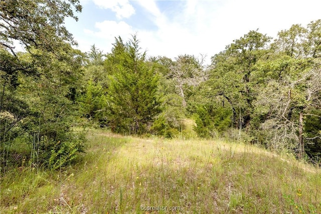 10.5ACRESTBD County Road 331, Milano, TX 76556 - photo 10