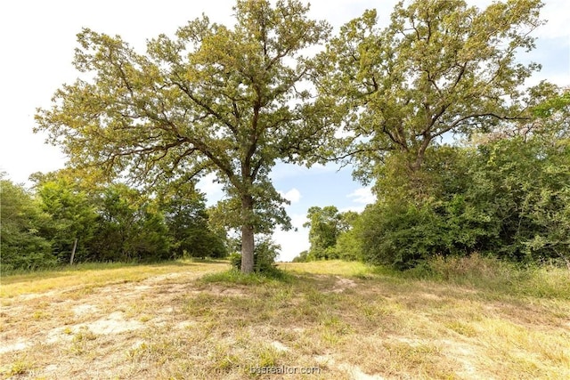 10.5ACRESTBD County Road 331, Milano, TX 76556 - photo 13