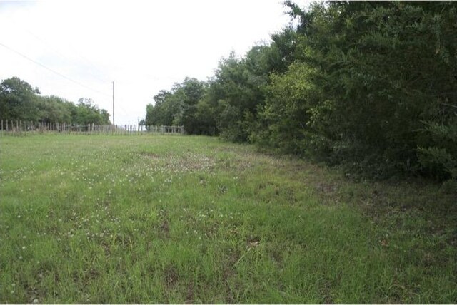 10.5ACRESTBD County Road 331, Milano, TX 76556 - photo 16