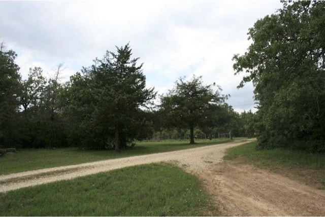 10.5ACRESTBD County Road 331, Milano, TX 76556 - photo 17