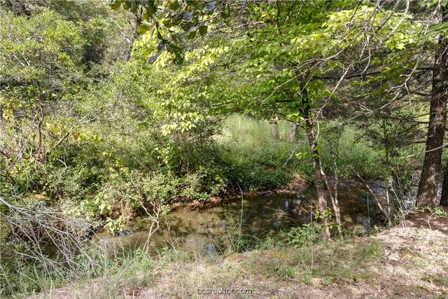 10.5ACRESTBD County Road 331, Milano, TX 76556 - photo 6
