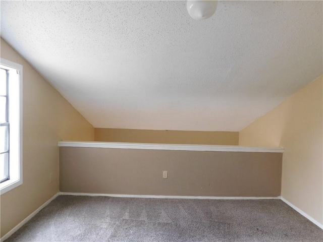 additional living space featuring carpet flooring, a textured ceiling, and vaulted ceiling