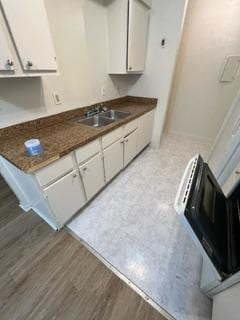 kitchen with white cabinets, light hardwood / wood-style floors, and sink