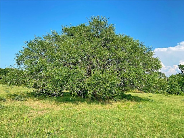 7800 Fm 1948th Rd W, Burton, TX 77835 - photo 26