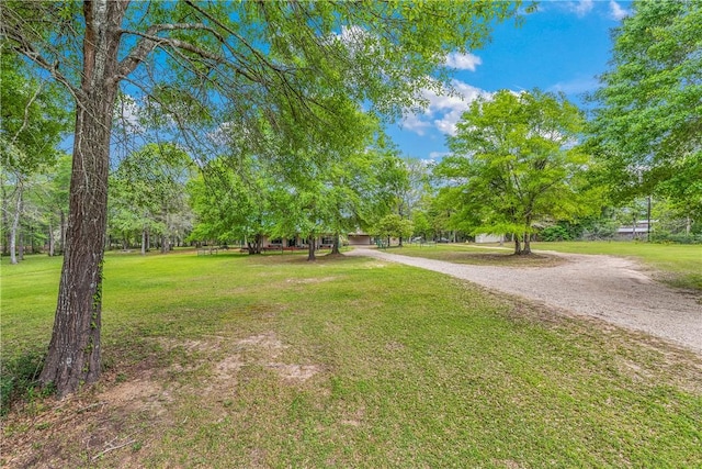 view of property's community with a lawn