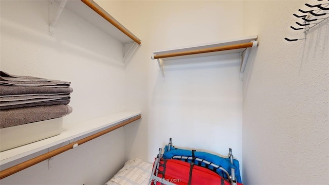 609 Townplace Dr, College Station, TX 77840 - view of spacious closet