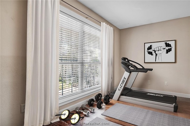 workout room featuring hardwood / wood-style flooring