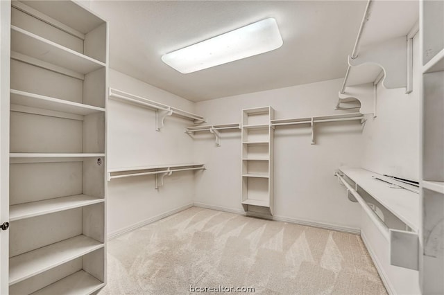 spacious closet with light colored carpet