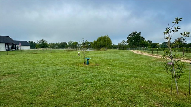 12426 County Road 175, Iola, TX 77861 - photo 37