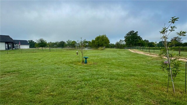 12426 County Road 175, Iola, TX 77861 - photo 36