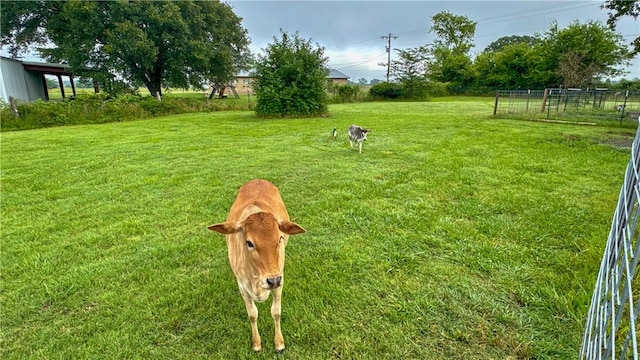 12426 County Road 175, Iola, TX 77861 - photo 39