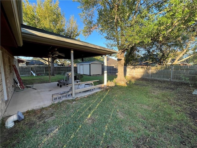 view of yard with a patio area and a shed