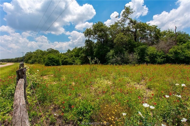 Listing photo 3 for TBD County Road 316, Caldwell TX 77836