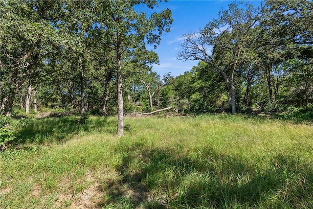 317 Beaver Lndg, Caldwell, TX 77836 - photo 33