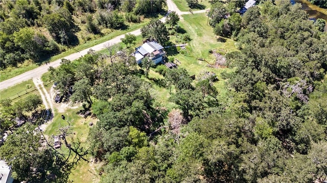 317 Beaver Lndg, Caldwell, TX 77836 - photo 37