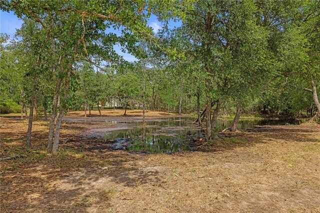 12934 Park Road 57, Somerville, TX 77879 - photo 3