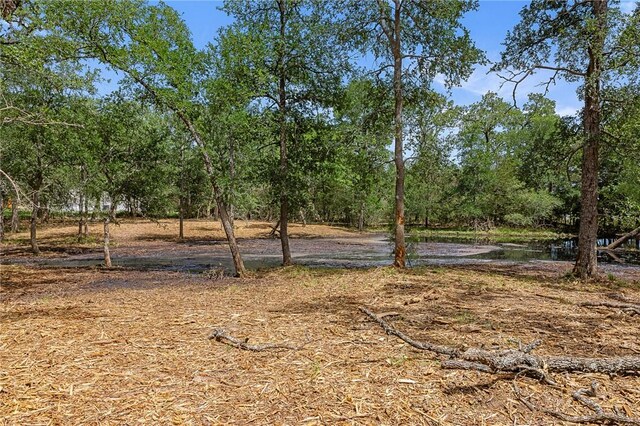 12934 Park Road 57, Somerville, TX 77879 - photo 4