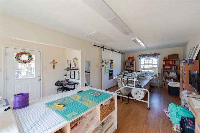 playroom featuring hardwood / wood-style floors