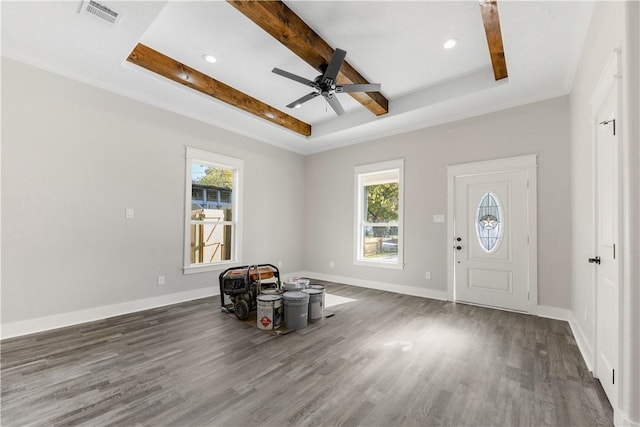 entryway featuring dark hardwood / wood-style floors, a wealth of natural light, and a tray ceiling