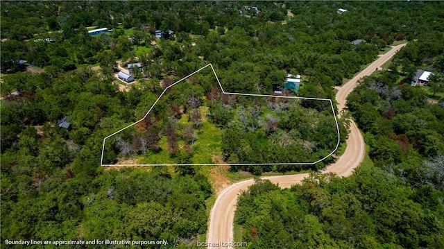 335 Berry Ln, Somerville TX, 77879 land for sale