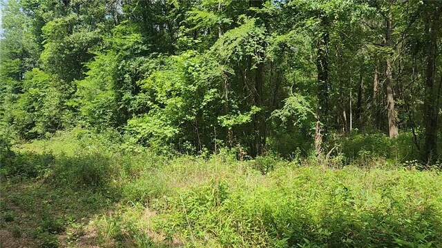LOT2 Hollybrook Dr, Plantersville, TX 77363 - photo 19