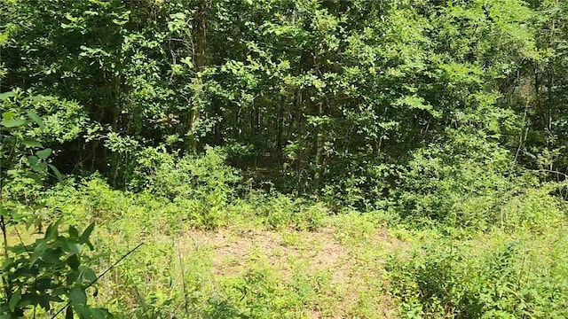 LOT2 Hollybrook Dr, Plantersville, TX 77363 - photo 7