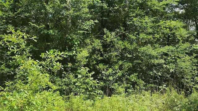 LOT2 Hollybrook Dr, Plantersville, TX 77363 - photo 5
