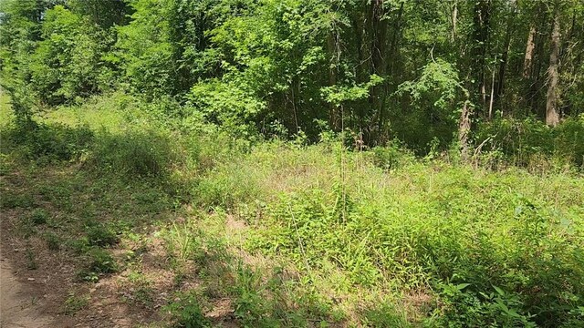 LOT2 Hollybrook Dr, Plantersville, TX 77363 - photo 17