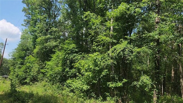 LOT2 Hollybrook Dr, Plantersville, TX 77363 - photo 16