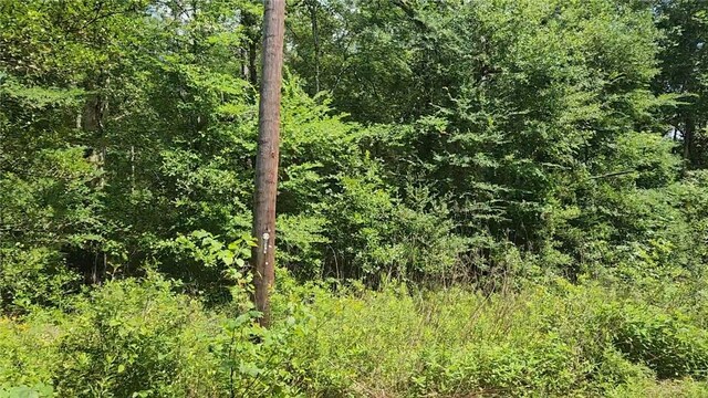 LOT2 Hollybrook Dr, Plantersville, TX 77363 - photo 20