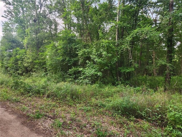 LOT2 Hollybrook Dr, Plantersville, TX 77363 - photo 2