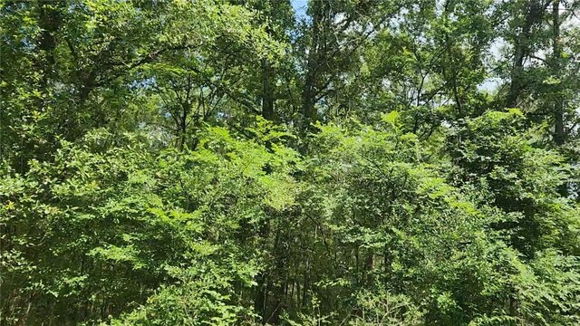 LOT2 Hollybrook Dr, Plantersville, TX 77363 - photo 10