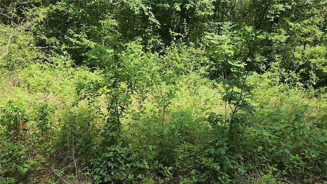 LOT2 Hollybrook Dr, Plantersville, TX 77363 - photo 11