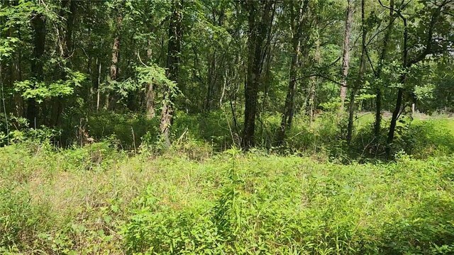 LOT2 Hollybrook Dr, Plantersville, TX 77363 - photo 14
