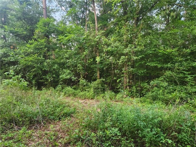 LOT2 Hollybrook Dr, Plantersville, TX 77363 - photo 1