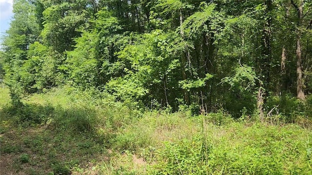 LOT2 Hollybrook Dr, Plantersville, TX 77363 - photo 15