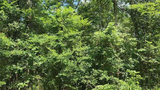 LOT2 Hollybrook Dr, Plantersville, TX 77363 - photo 9