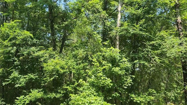 LOT2 Hollybrook Dr, Plantersville, TX 77363 - photo 13